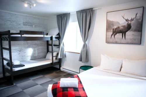 蒙特朗布朗Auberge Manitonga的卧室配有双层床,墙上挂着鹿
