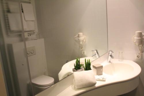 林茨Hotel Alhartinger Hof的一间带水槽、卫生间和镜子的浴室