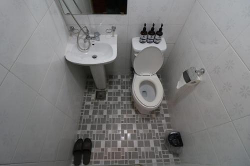 首尔The garden hotel的一间带卫生间和水槽的浴室