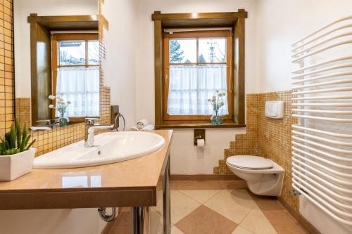 考斯赛力克Apartamenty Panorama的一间带水槽和卫生间的浴室