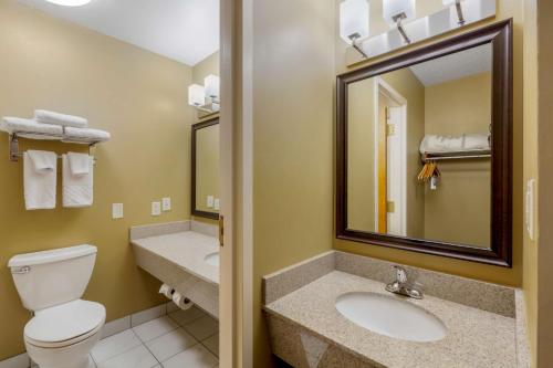 鲍灵格林猎鹰广场贝斯特韦斯特酒店的一间带卫生间、水槽和镜子的浴室