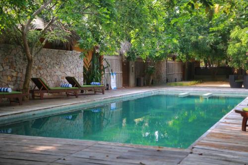 卡尔皮蒂耶Hiru Resort and Kite Surfing的庭院里一个带椅子和树木的游泳池