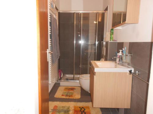Agra波斯蒙特公寓的带淋浴、盥洗盆和卫生间的浴室