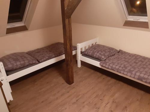 普劳恩Waldquelle的铺有木地板的客房内配有两张双层床。