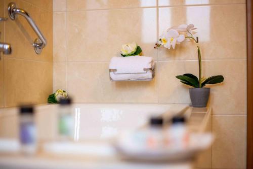 普拉曼塔Baldeneige的浴室设有毛巾和墙上的植物