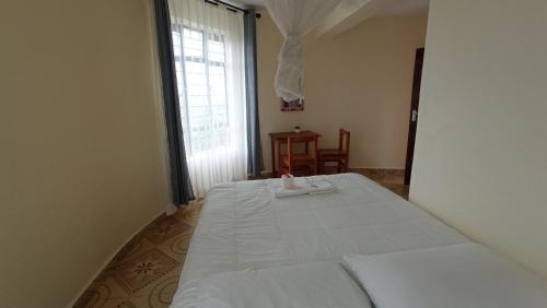 基苏木Lago Resort - Best Views in Kisumu的一间卧室设有一张床和一个窗口