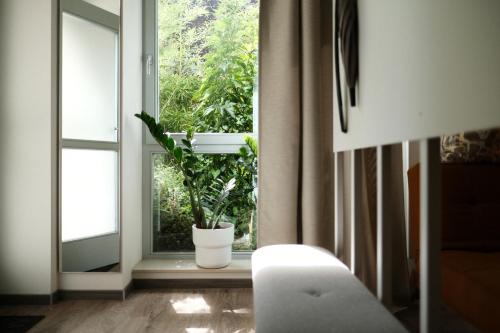 什未林Apartments zur alten Konditorei的一间设有窗户的房间,里面装有盆栽植物