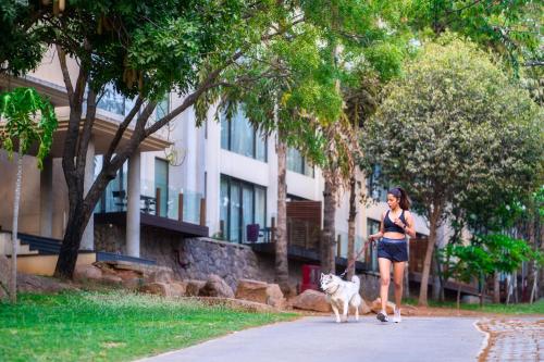 海得拉巴海得拉巴加池波利凯悦酒店的一只用皮带带走狗的女人