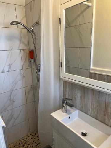 好莱坞Expo Motel的浴室配有盥洗盆和带镜子的淋浴