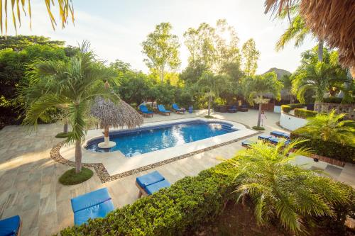 波波约Nicawaves的享有带椅子和棕榈树的泳池的空中景致