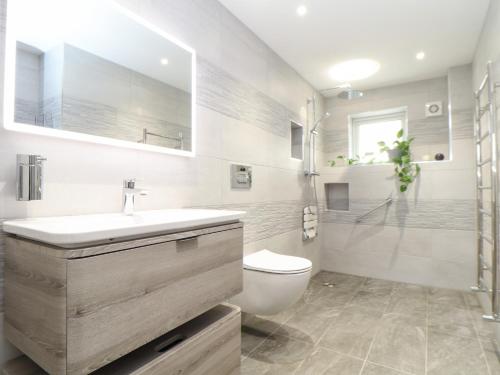 雷德鲁斯Fern Cottage的浴室配有卫生间、盥洗盆和淋浴。