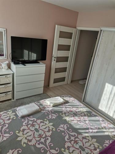 斯利文Markoni的一间卧室配有带梳妆台的床和电视。