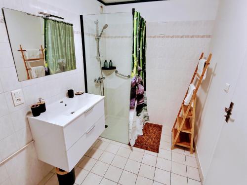 布格奈斯Into the Wild - T2 Cosy tout confort的白色的浴室设有水槽和淋浴。