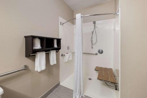 普莱诺马格努森公园套房酒店的带淋浴和浴帘的浴室