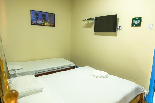 布拉干萨Pousada Aruans Casarão的一间医院间 - 带两张床和电视