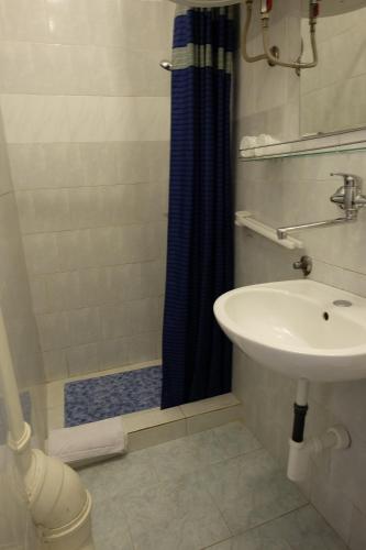 普拉Apartments Golubic的一间带水槽和淋浴的浴室