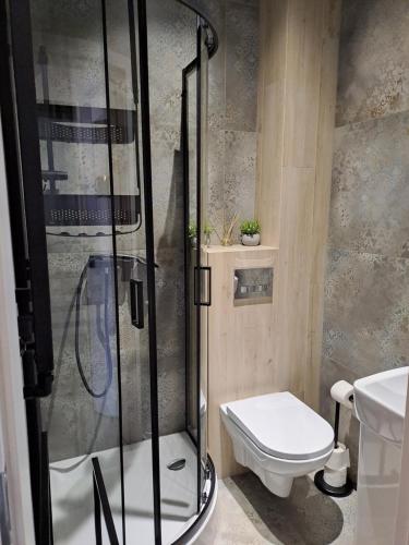 克拉科夫Prokocim Apartments的带淋浴和卫生间的浴室