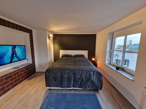 德累斯顿Spatzennest的一间卧室配有一张床和一台平面电视