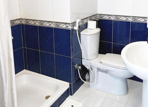 达哈布Red Sea Relax Hotel的蓝色和白色的浴室设有卫生间和水槽