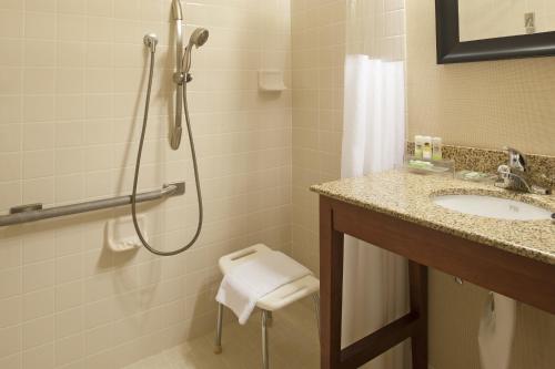 霍兰赫兰德卡尔森江山旅馆的带淋浴和盥洗盆的浴室