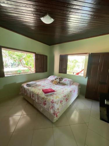 阿尔特杜尚Casa em Alter do chão - lago verde的一间卧室设有一张床和两个窗户。