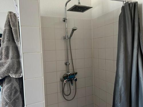 莱茵河畔阿尔芬center appartement 2 rooms的带淋浴和浴帘的浴室