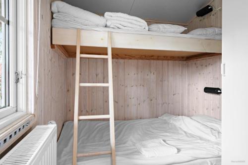 法伦First Camp Lugnet-Falun的客房内的双层床,带梯子