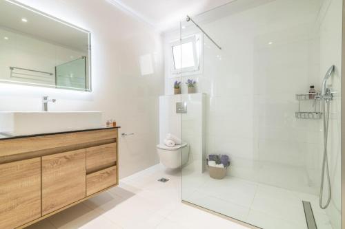 凯里翁Villa Astoria Limni Keriou的带淋浴、卫生间和盥洗盆的浴室