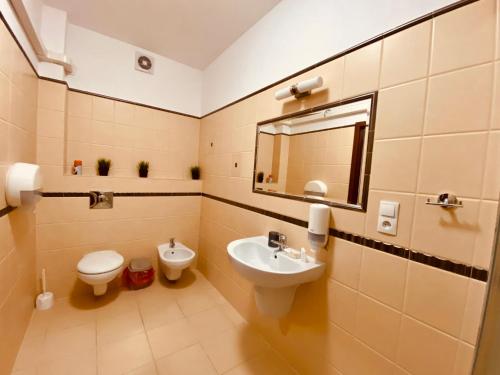 SufczynNasz Młyn的一间带水槽、卫生间和镜子的浴室