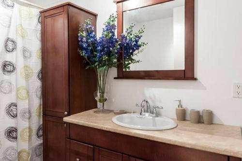 蒙特利尔蒙特利尔梅特蒙皇家公寓的浴室设有水槽、镜子和花瓶