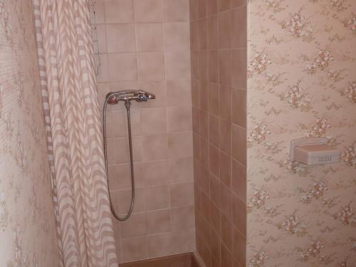 艾克斯莱班Maison Aix-les-Bains, 5 pièces, 6 personnes - FR-1-555-71的浴室内配有淋浴和头顶淋浴