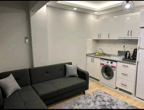 伊斯坦布尔Şişli-Taksim的带沙发和洗衣机的客厅