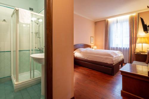 塞斯托拉Hotel Roma的一间卧室配有一张床、淋浴和盥洗盆