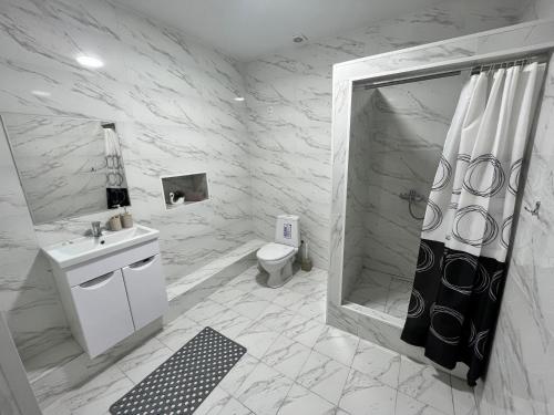 奥什SN Apartments的带淋浴、盥洗盆和卫生间的浴室