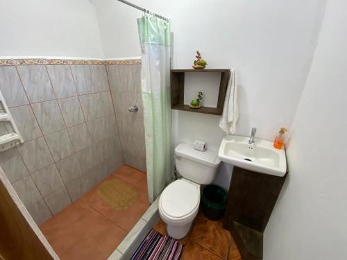 蒙泰韦尔德哥斯达黎加Twin Palms Lodge的浴室配有卫生间、淋浴和盥洗盆。