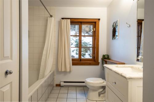 Saint-FaustinChalet du Sous-Bois By My Tremblant Location的一间带卫生间和窗户的浴室