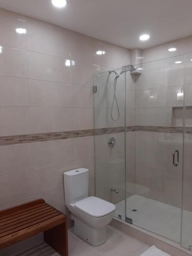Bon AccordPESHERES INN & SPA的一间带卫生间和玻璃淋浴间的浴室