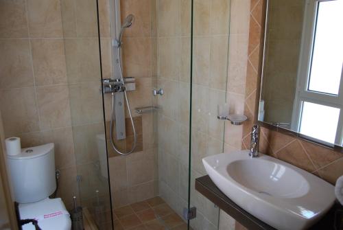 卡斯托里亚Room in Faneromeni's grove的带淋浴、卫生间和盥洗盆的浴室
