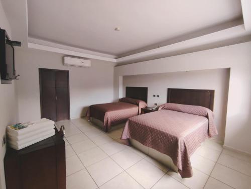 阿瓜斯卡连特斯HOTEL SAN MARCOS的一间酒店客房,设有两张床和电视
