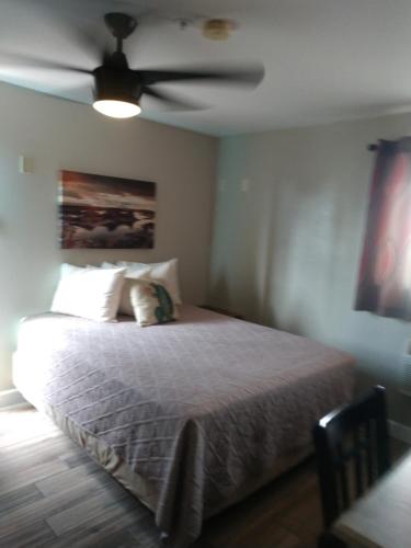 佩吉里德罗克公寓的一间卧室配有一张带吊扇的床