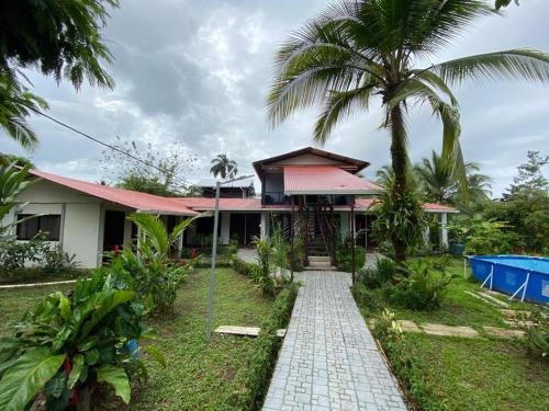 托尔图格罗Chinitas Eco Lodge的棕榈树和走道的房子