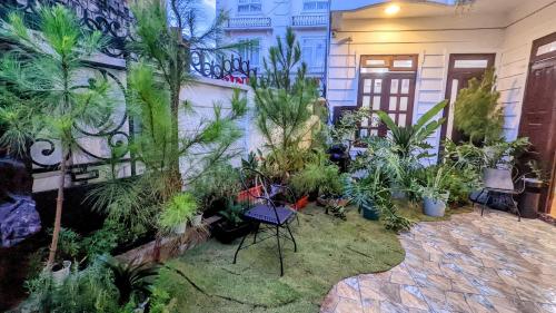 大叻Wasabi House - Homestay bên chợ đà lạt的一座花园,在一座建筑前种植了棕榈树和植物