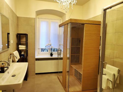 BurgauPalais Kneissl的带淋浴和盥洗盆的浴室以及窗户。