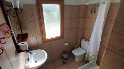 塞利亚尼蒂卡ResidenceTheo的一间带水槽和卫生间的浴室以及窗户。
