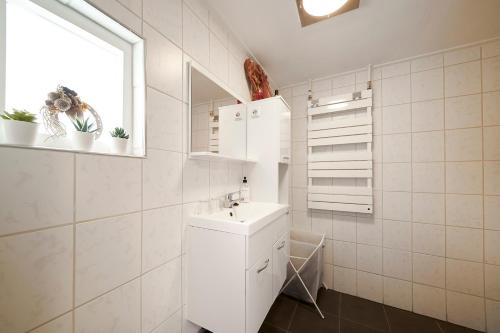 贝克贝亨B B Huize Hooijer的白色的浴室设有水槽和窗户。