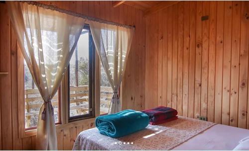 瓜纳切洛斯Ocho Aguilas Eco Lodge的一间卧室配有一张床,窗户配有一张西德西德床