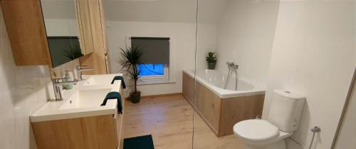 贝拉克尔Appartement Berendries的浴室配有卫生间、盥洗盆和浴缸。