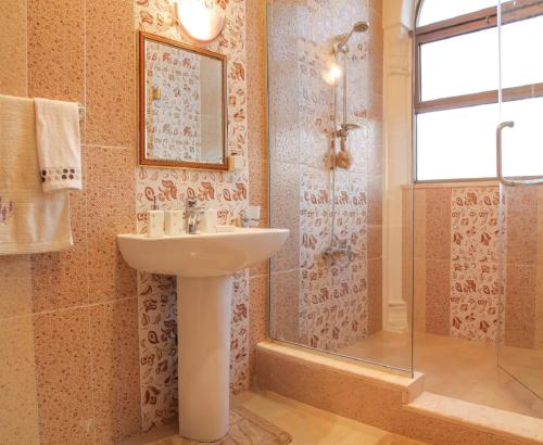 安曼Khirfan Crown Houses -downtown的一间带水槽和淋浴的浴室