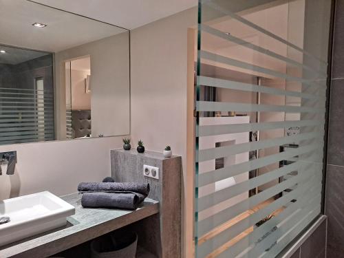 尚贝里Boigne Sweet Suite的一间带水槽和玻璃淋浴的浴室