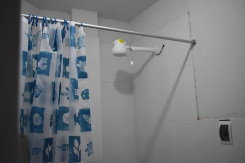 齐克拉约Departamento-Parque y Flores M1的蓝色和白色的淋浴帘